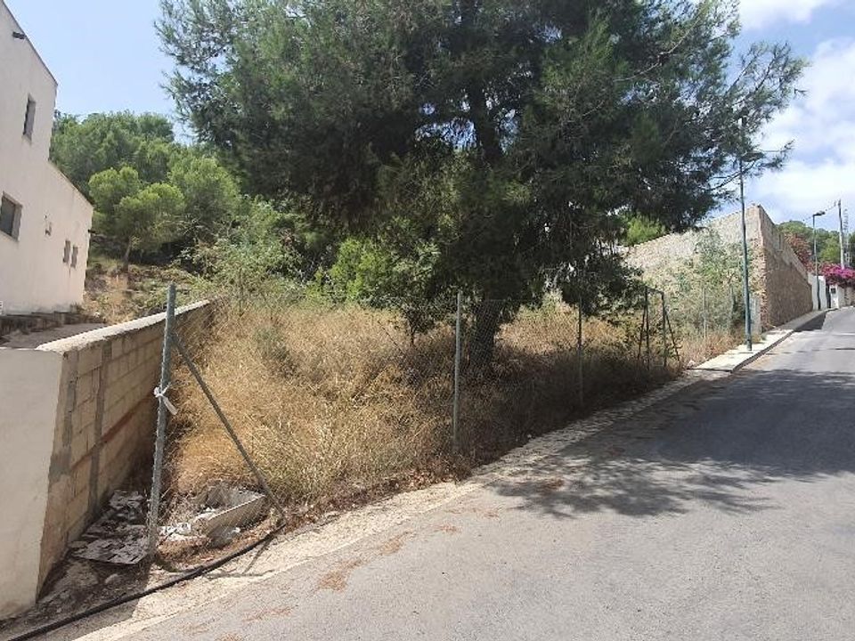 Helårsgrund i Pinar De Campoverde, Alicante - foto 1